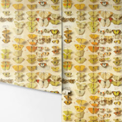 Lepidoptera Wallpaper - Image 3