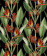 Birds Of Paradise Night - Black Wallpaper