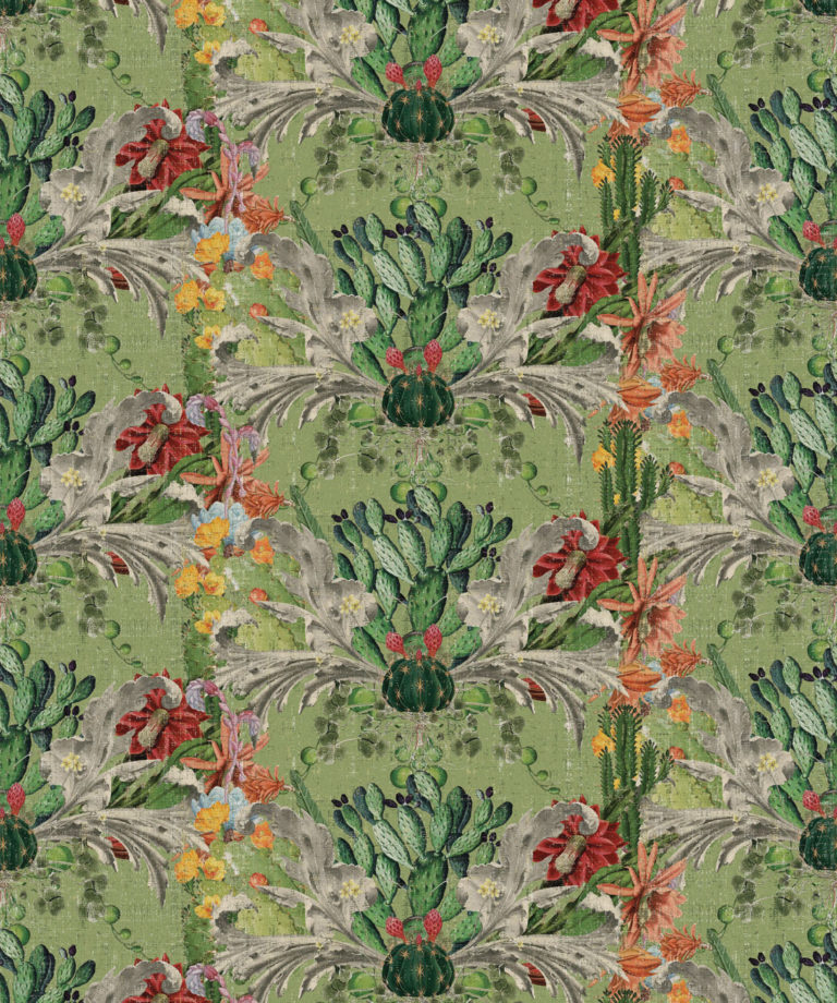 Cactus wallpaper - Designer Collection