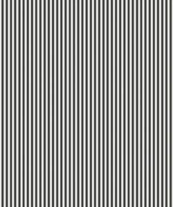 Stripe Charcoal
