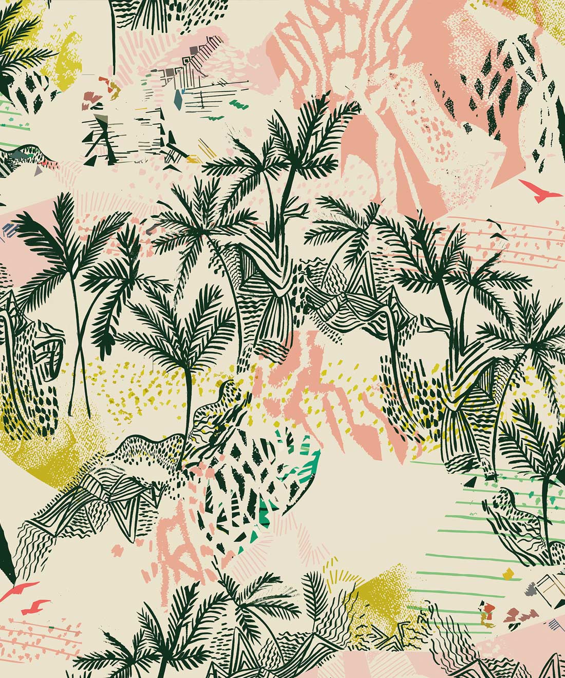 Queen Palm Wallpaper