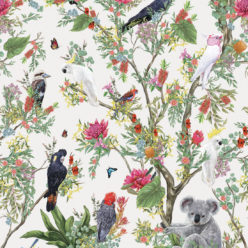 Australia Wallpaper • Cockatoos, Koalas, Parrots, Finches • Milton & King UK • Canvas Wallpaper Swatch