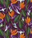 Hummingbird Wallpaper • Birds Of Paradise Flower • Bird Wallpaper • Purple Wallpaper