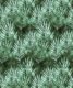 Rainforest Green Shibori Leaf Wallpaper