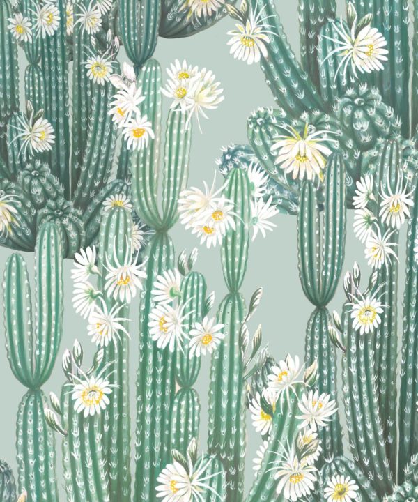 San Pedro Wallpaper Aqua • Cactus Wallpaper • Succulents Wallpaper • Desert Wallpaper Swatch