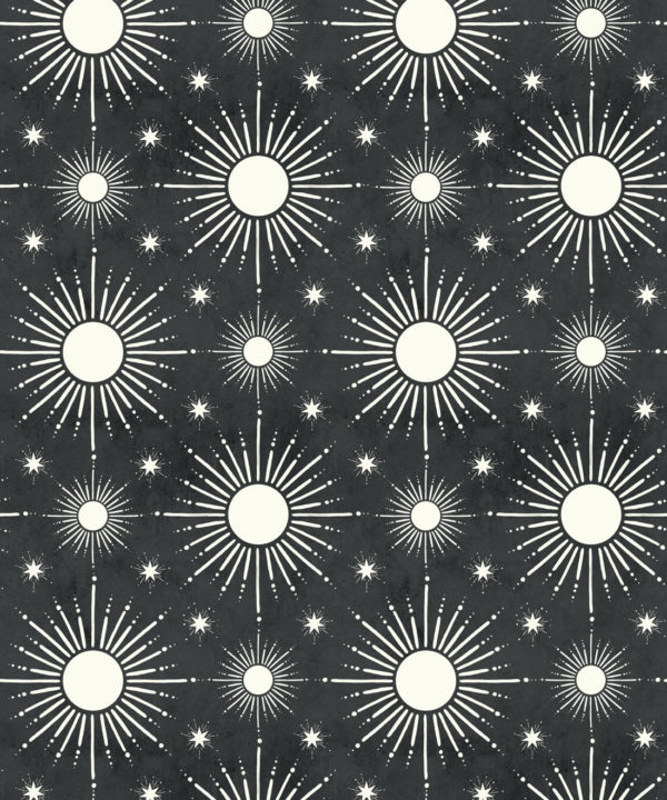 Sun Light Star Bright Wallpaper • Charcoal • Swatch