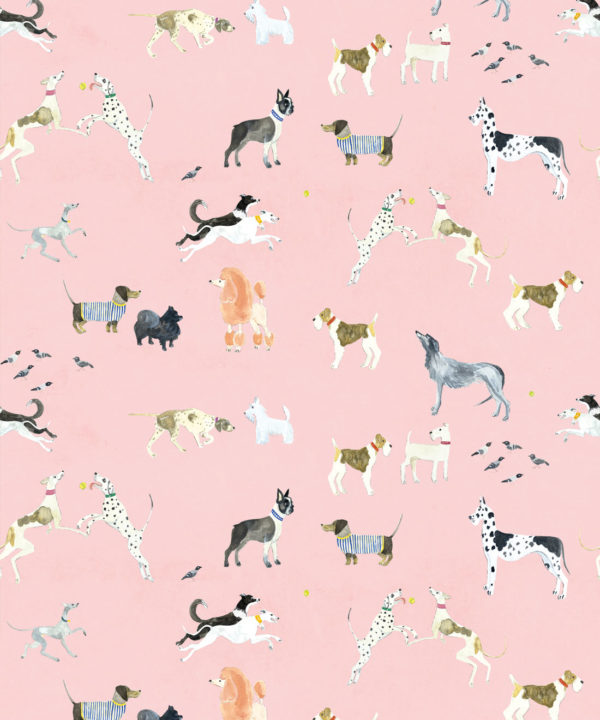 Doggies Wallpaper • Dog Wallpaper • Pink • Swatch