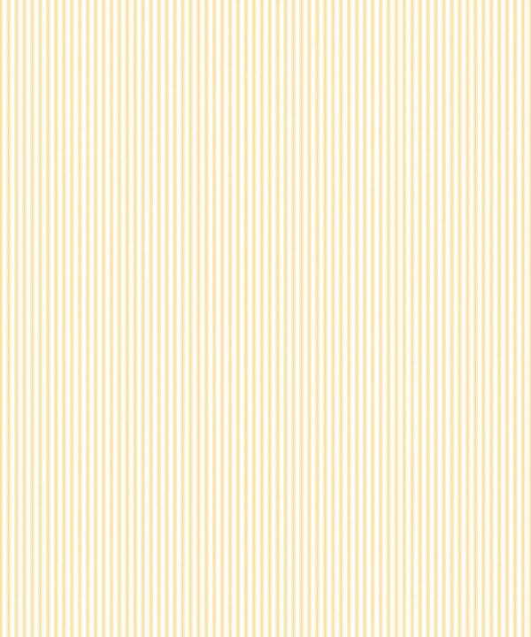 Ticking Stripe Wallpaper • Sunshine Yellow Wallpaper • Insitu