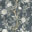 Chinoiserie Wallpaper • Floral Wallpaper • Bird Wallpaper • Magnolia • Navy • Swatch