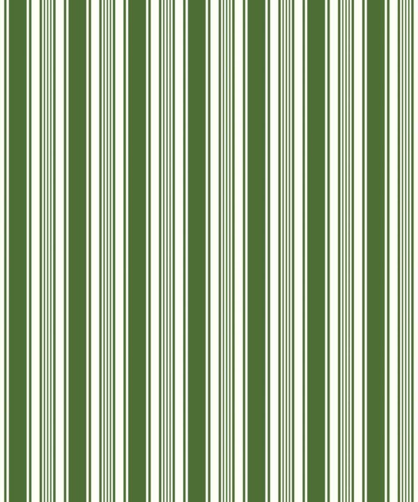 Maynard Wallpaper • Dianne Bergeron • Stripe Wallpaper • Olive • Swatch