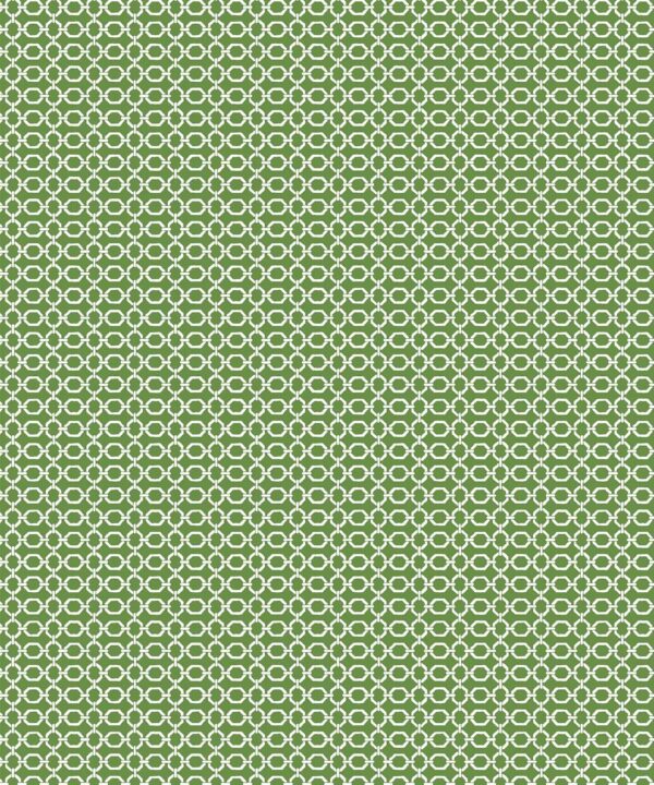 Ravello Wallpaper • Dianne Bergeron • Parsley • Swatch