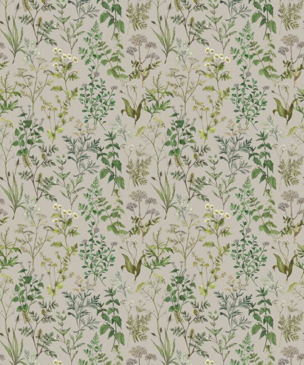 Herbarium Wallpaper • Hackney & Co. • Grey • Swatch