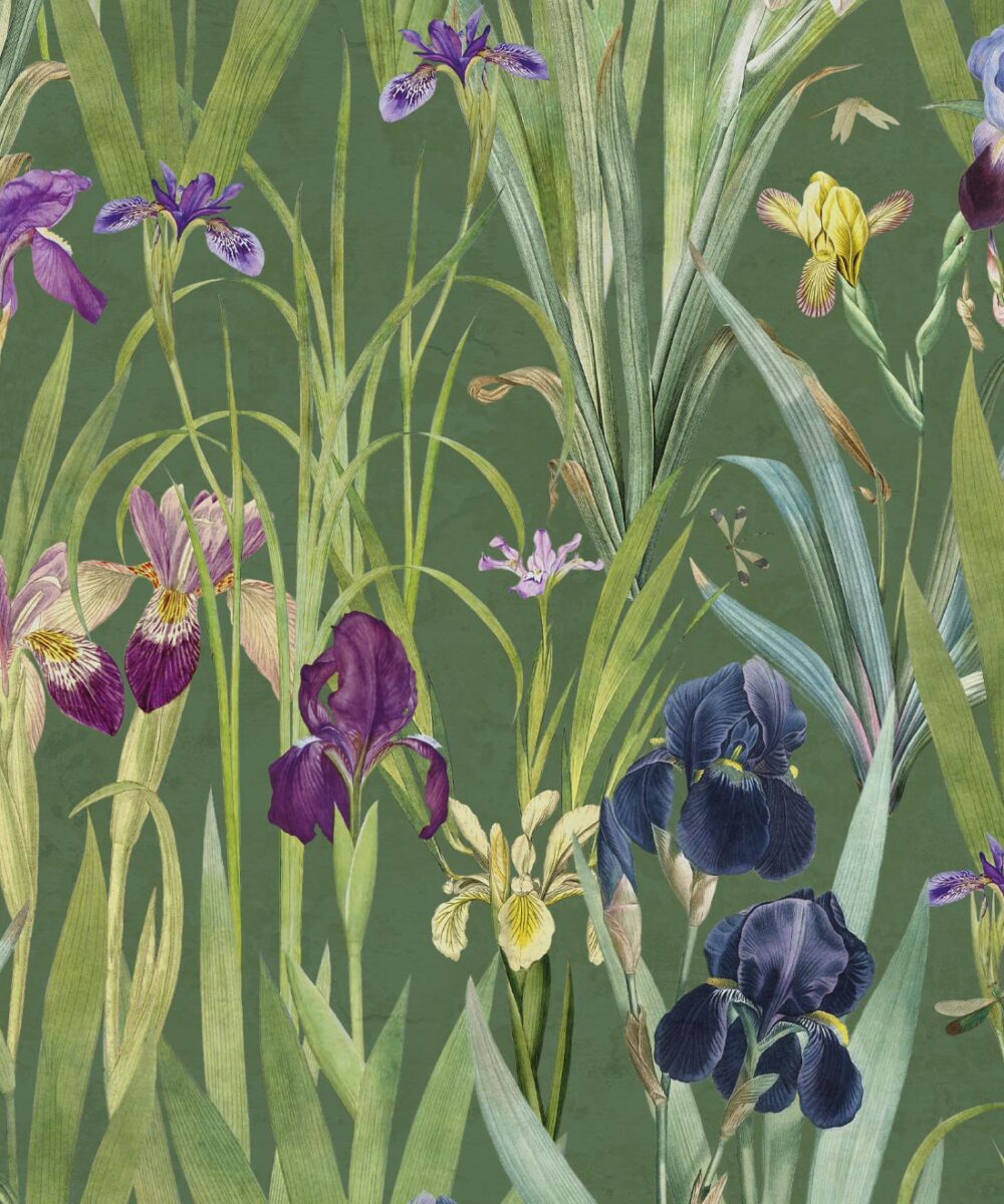 Iris Wallpaper • Floral Botanical Wallpaper • Milton & King UK