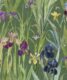 Iris Wallpaper • Green • Swatch