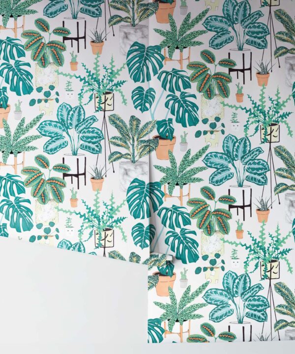 House Plants (Large) • Jacqueline Colley • Wallpaper Republic • Aqua • Rolls