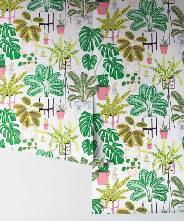 House Plants (Large) • Jacqueline Colley • Wallpaper Republic • Green • Rolls