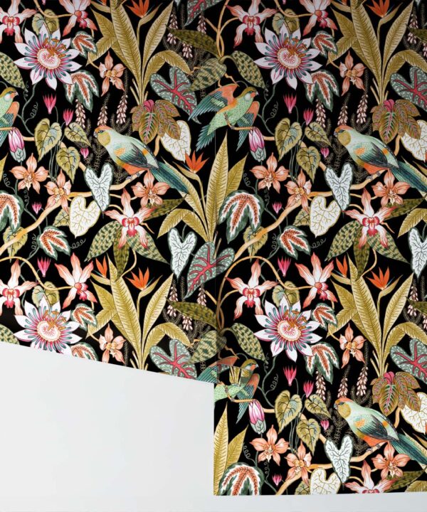 Parrot Jungle Wallpaper • Jacqueline Colley • Black • Rolls