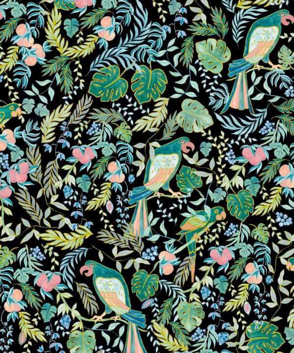 Tropical Paradise is a Bird Nature Wallpaper • Kip&co • Black • Swatch