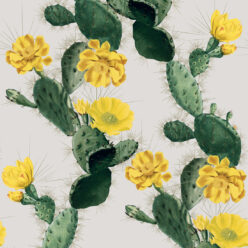 Yellow Day