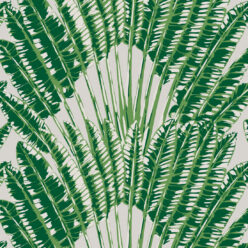 Aloha