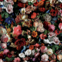 Full Bloom