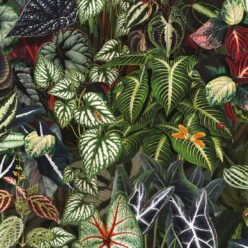 Jungle