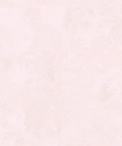Toile De Fond Mural • Rose • Swatch