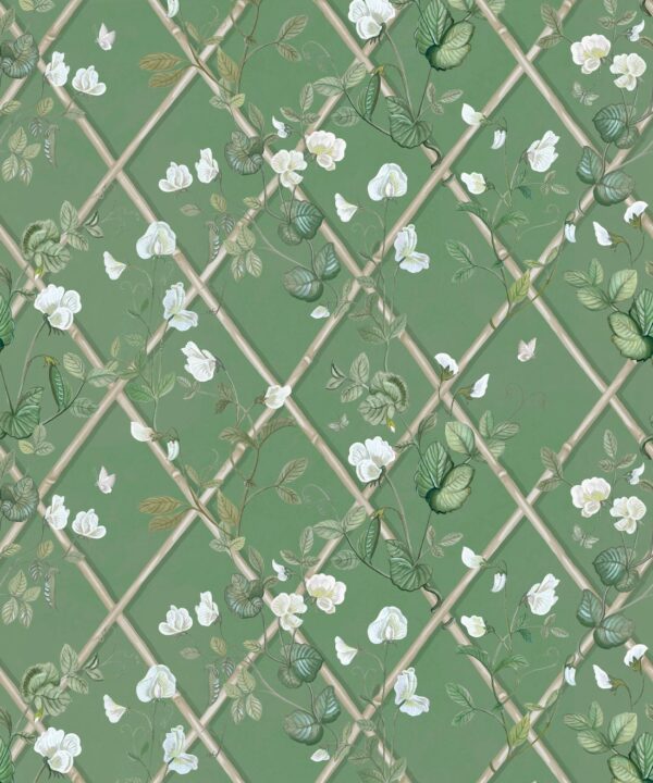 Petite Climbing Sweet Pea Wallpaper • Dark Green & Cane • Swatch