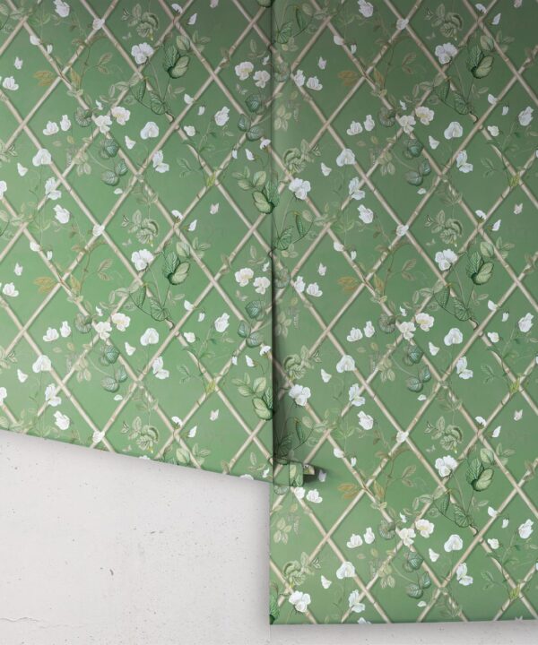 Petite Climbing Sweet Pea Wallpaper • Dark Green & Cane • Rolls