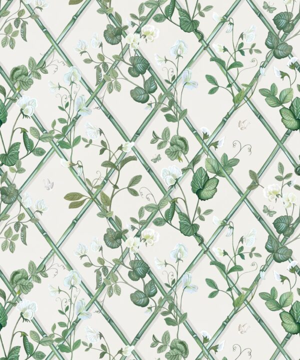 Petite Climbing Sweet Pea Wallpaper • Irish Linen • Swatch