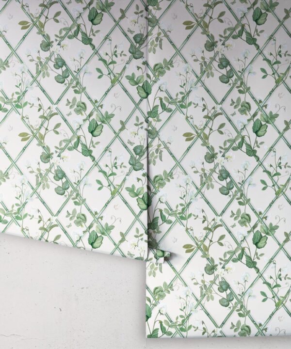 Petite Climbing Sweet Pea Wallpaper • Irish Linen • Rolls