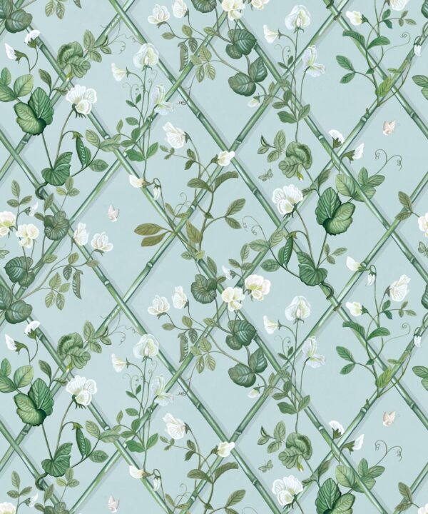 Petite Climbing Sweet Pea Wallpaper • Light Provence • Swatch