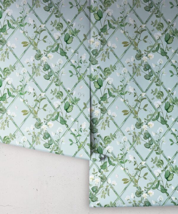 Petite Climbing Sweet Pea Wallpaper • Light Provence • Rolls