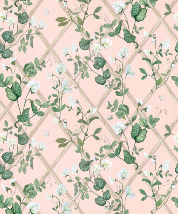 Petite Climbing Sweet Pea Wallpaper • Pink • Swatch