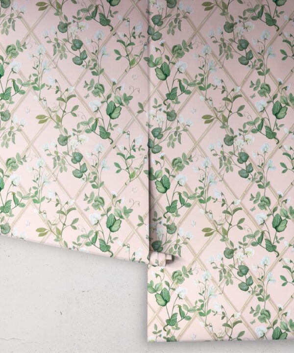 Petite Climbing Sweet Pea Wallpaper • Pink • Rolls