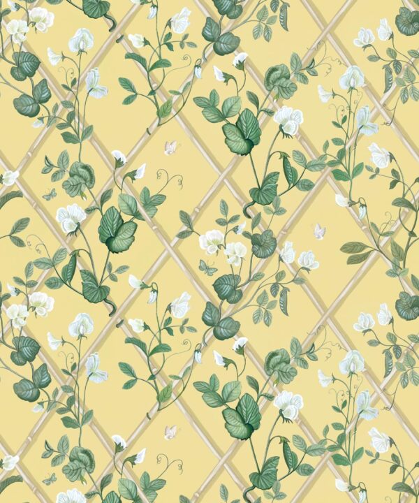 Petite Climbing Sweet Pea Wallpaper • Rattan & Cane • Swatch