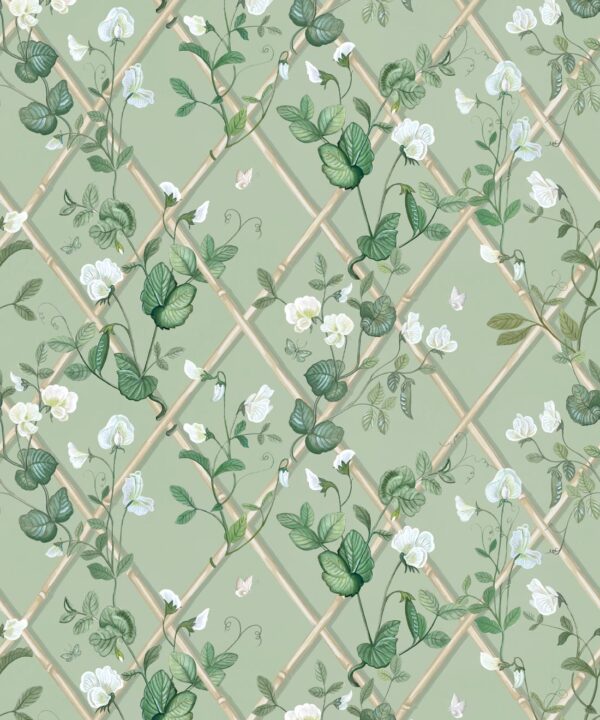 Petite Climbing Sweet Pea Wallpaper • Sage & Cane • Swatch