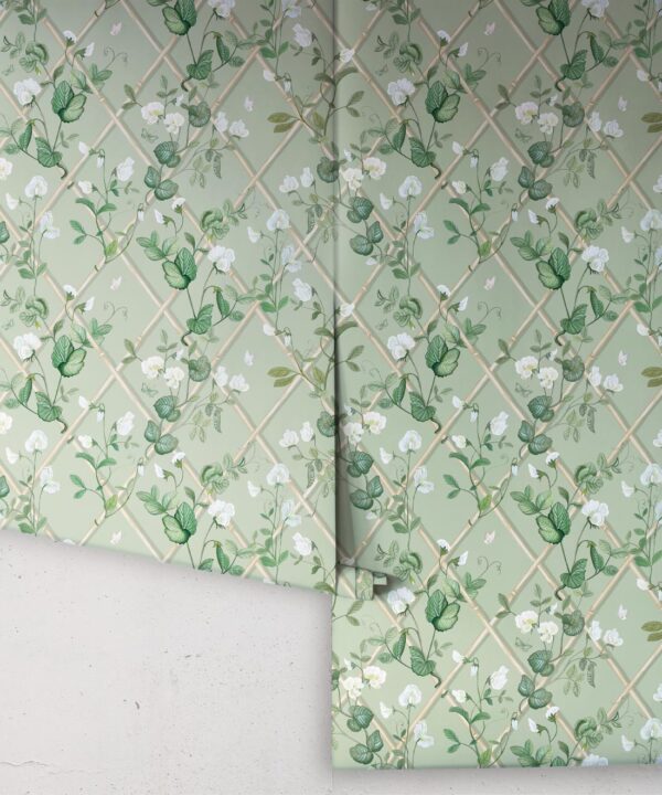 Petite Climbing Sweet Pea Wallpaper • Sage & Cane • Rolls