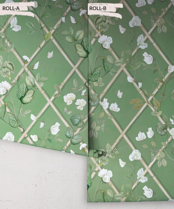 Grande Climbing Sweet Pea Wallpaper • Dark Green & Cane • Rolls