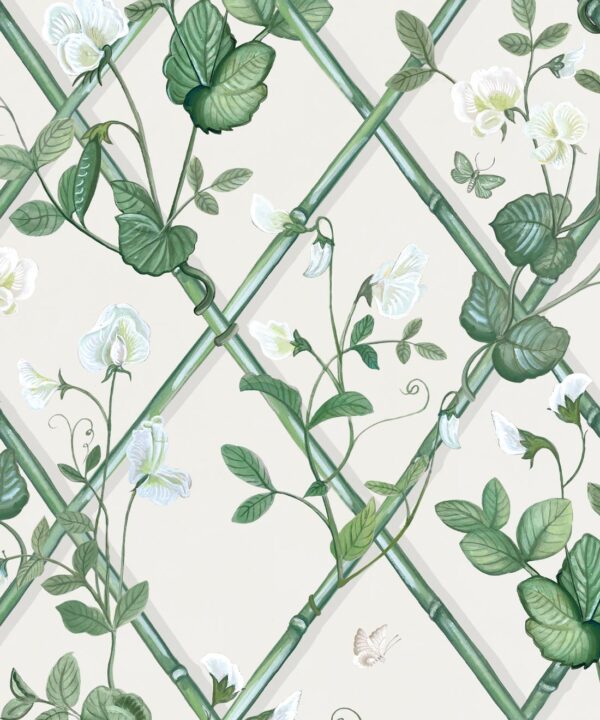 Grande Climbing Sweet Pea Wallpaper • Irish Linen • Swatch