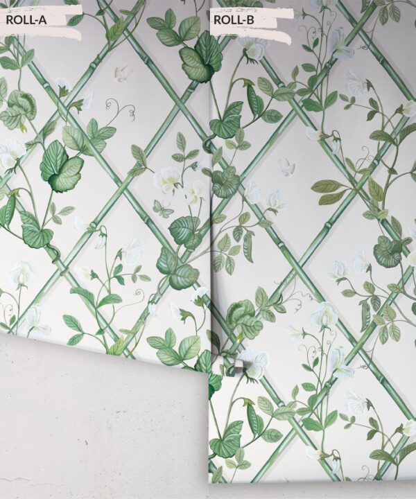 Grande Climbing Sweet Pea Wallpaper • Irish Linen • Rolls