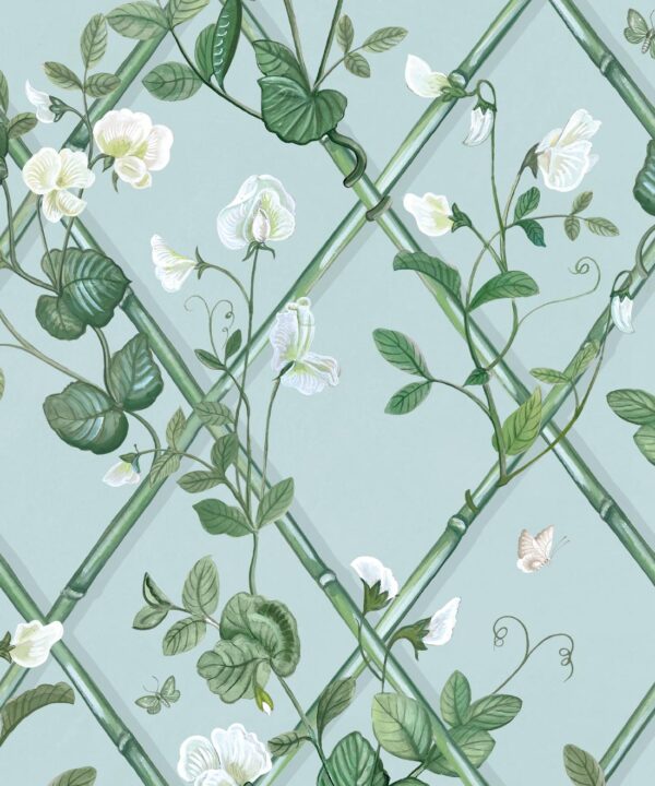 Grande Climbing Sweet Pea Wallpaper • Light Provence • Insitu