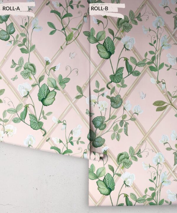 Grande Climbing Sweet Pea Wallpaper • Pink • Rolls