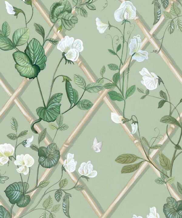 Grande Climbing Sweet Pea Wallpaper • Sage & Cane • Swatch