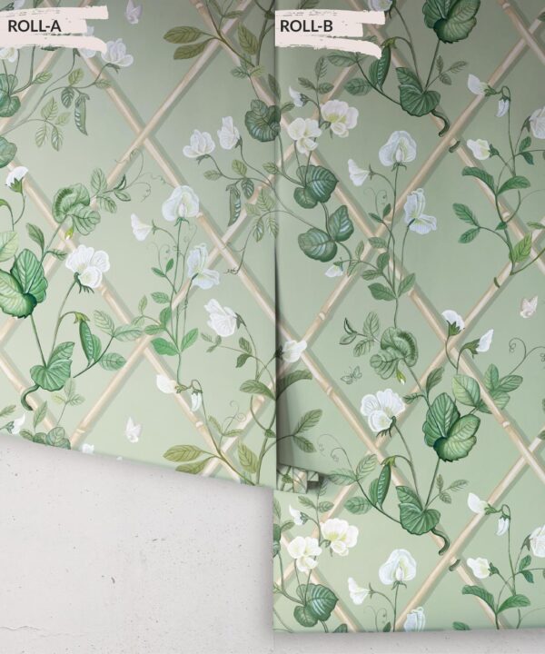 Grande Climbing Sweet Pea Wallpaper • Sage & Cane • Rolls