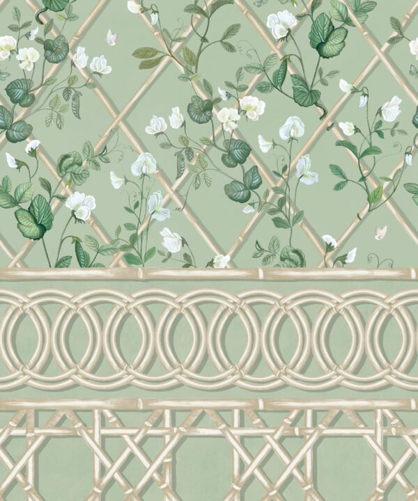 Climbing Sweet Pea Frieze Mural • Sage & Cane • Swatch