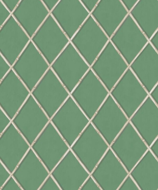 Colony Wallpaper • Dark Green & Cane • Swatch