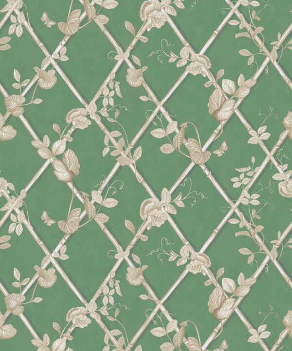 Petite Ivy Wallpaper • Dark Green & Cane • Swatch