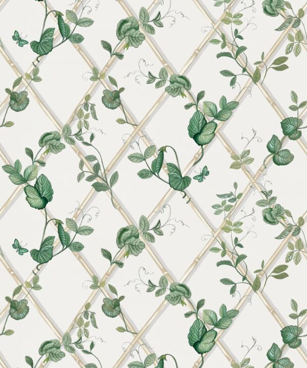 Petite Ivy Wallpaper • Irish Linen & Cane • Swatch