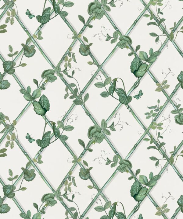 Petite Ivy Wallpaper • Irish Linen & Green • Swatch